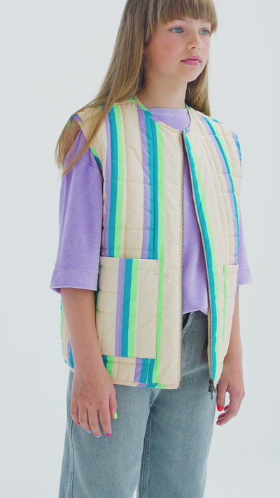 waist coat - multi pop stripe