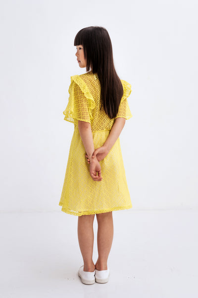 ruffle dress - significant lace