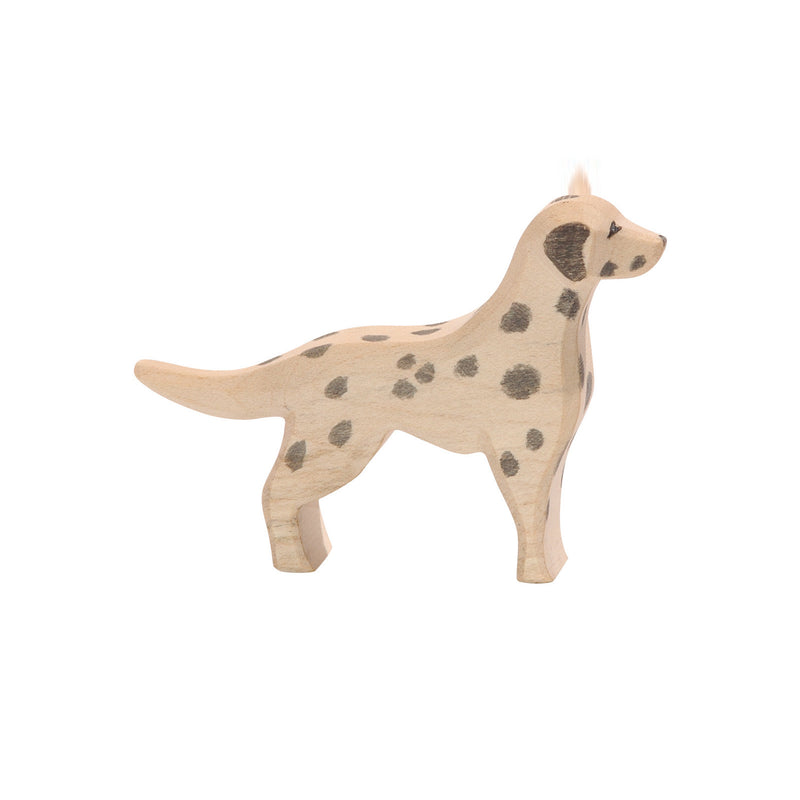ostheimer -  Dalmatian