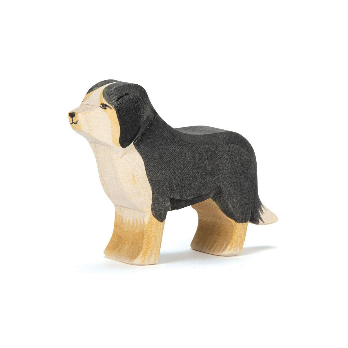 ostheimer - bernese mountain dog