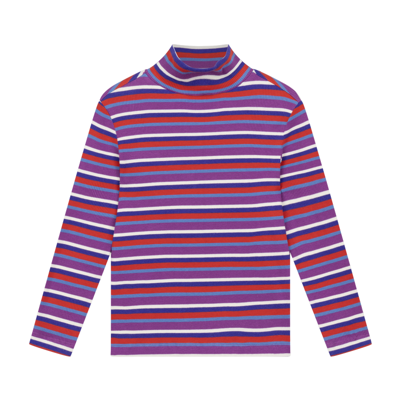 turtle neck - multi colour stripe