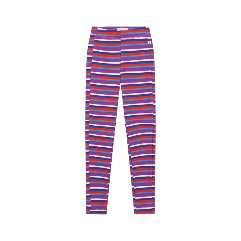 legging - multi colour stripe