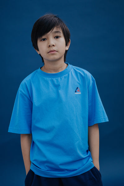 tee shirt - cool blue