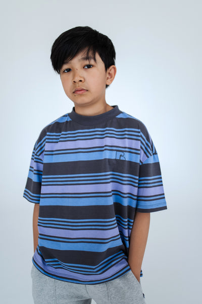 boxy tee - multi grey purple stripe