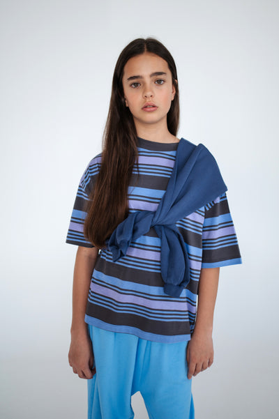 boxy tee - multi grey purple stripe