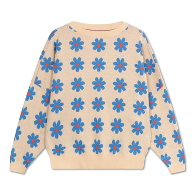 knit slouchy sweater - daisy