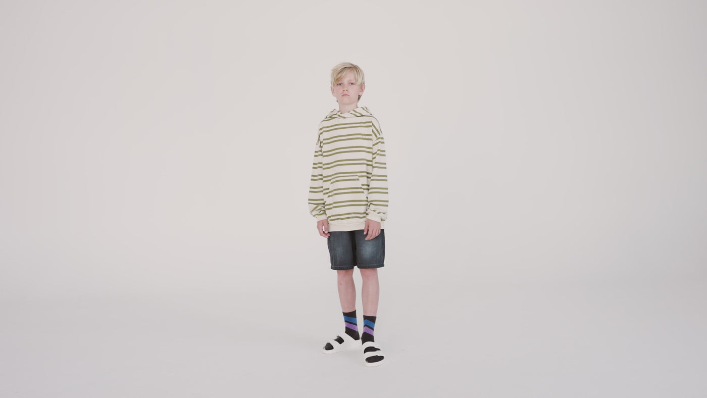 hoodie - green moss stripe