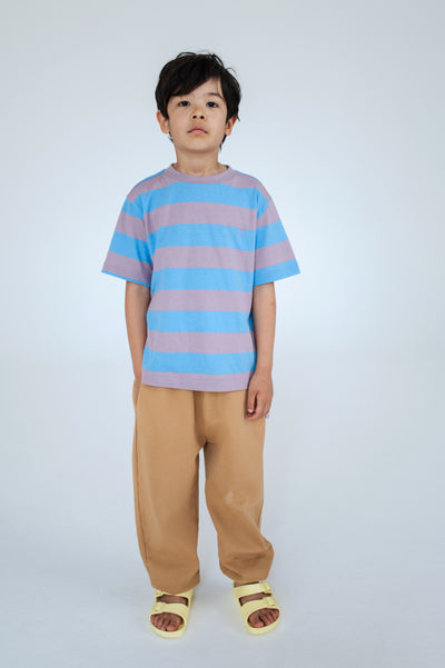 tee shirt - summer blue elderberry stripe