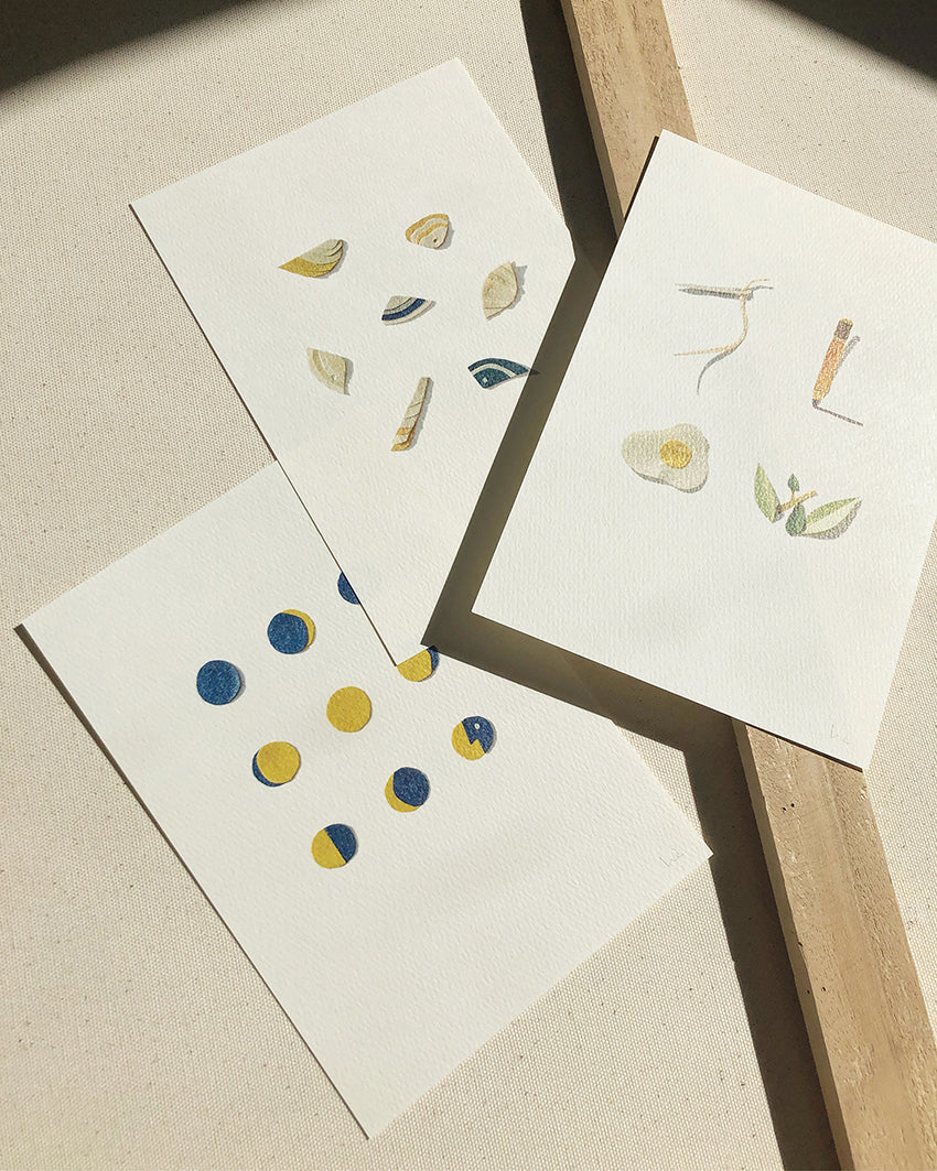 Hiyoko Imai paper cut illustration Shells A5